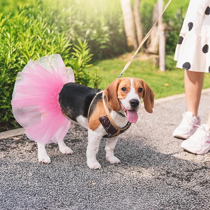 Transform Your Dog into the Cutest Ballerina Ever!